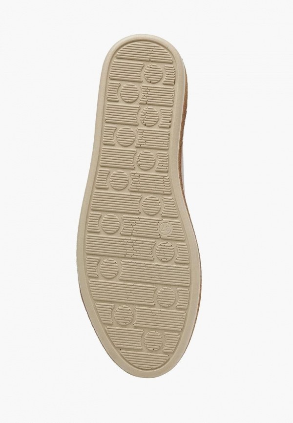 фото Кеды alessio nesca