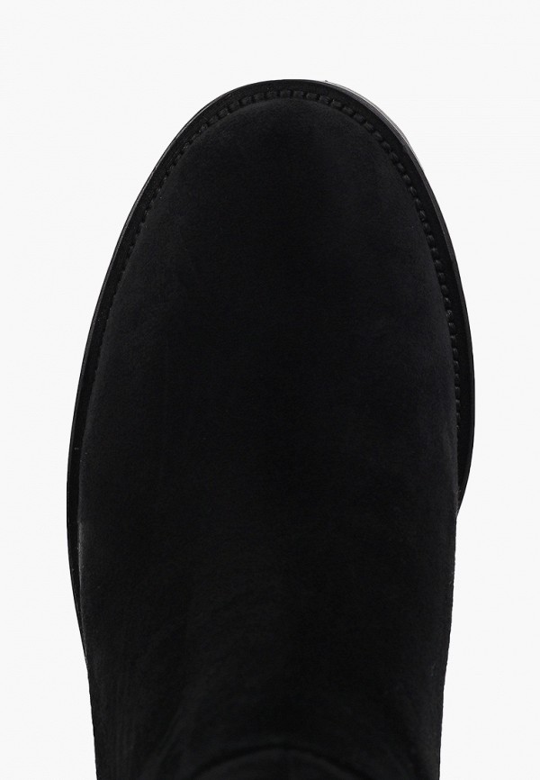 фото Сапоги basconi