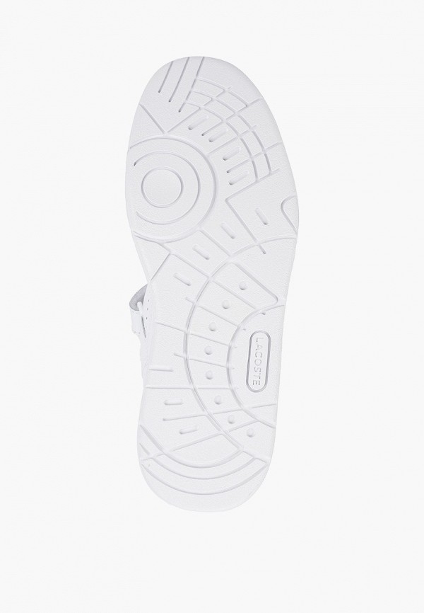 фото Кеды lacoste