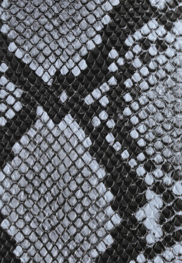 фото Сумка alex max