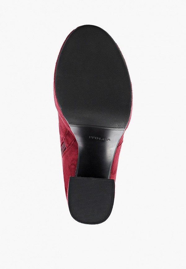 фото Ботфорты ivolga