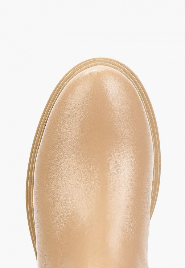 фото Сапоги francesco donni