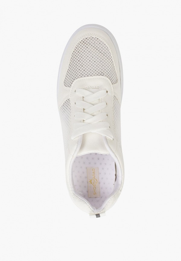 фото Кеды shoesparad