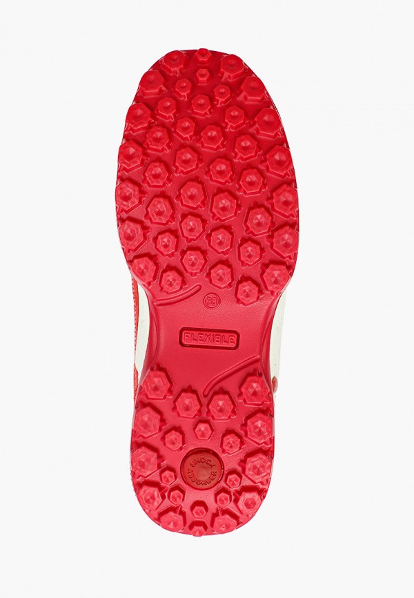 фото Кроссовки salamander