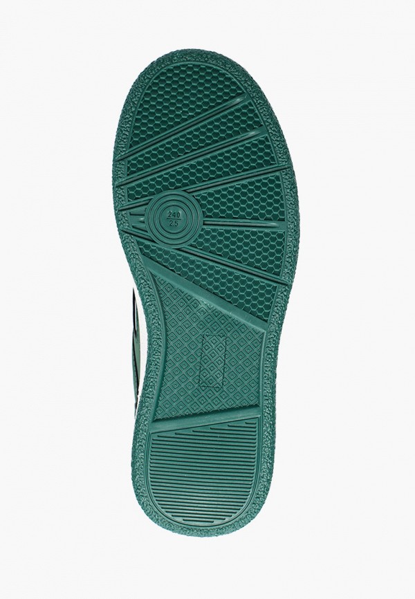 фото Кеды dino albat