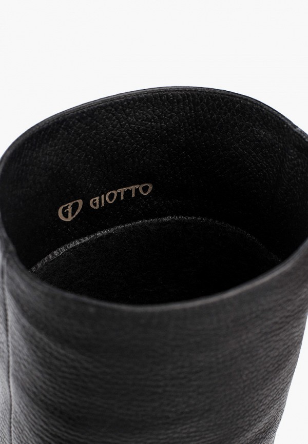 фото Ботфорты giotto