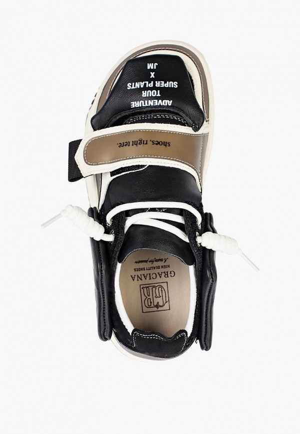 фото Кеды graciana