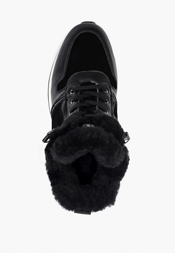 фото Кроссовки graciana