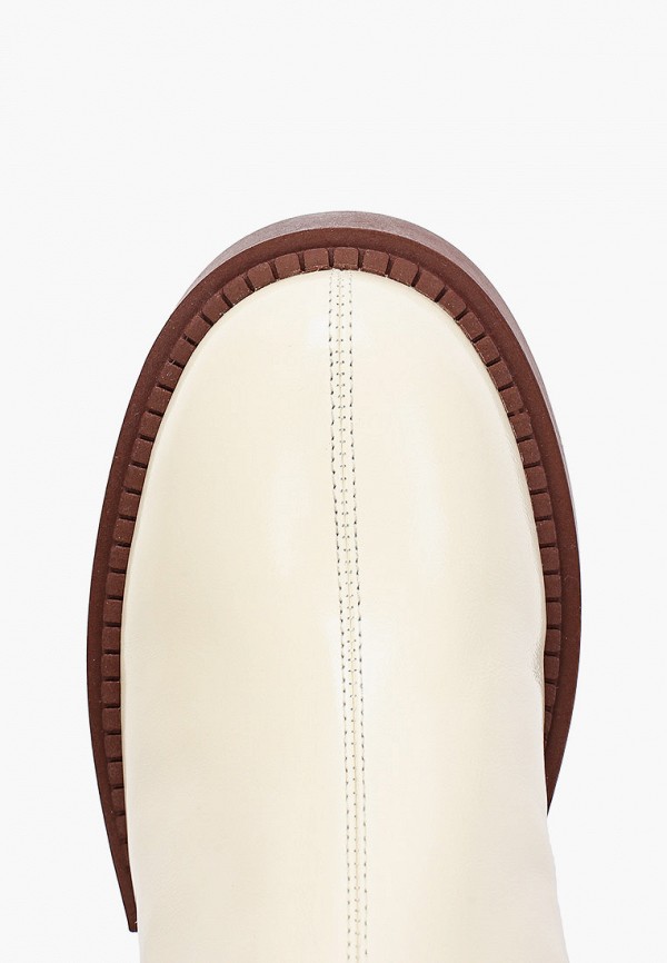 фото Сапоги berkonty