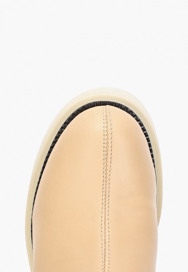 фото Сапоги ascalini