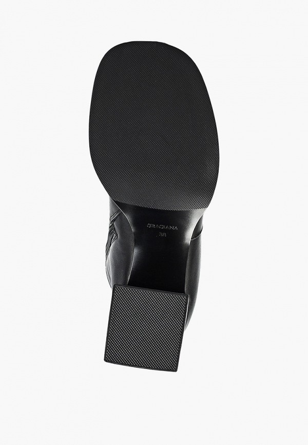 фото Сапоги graciana