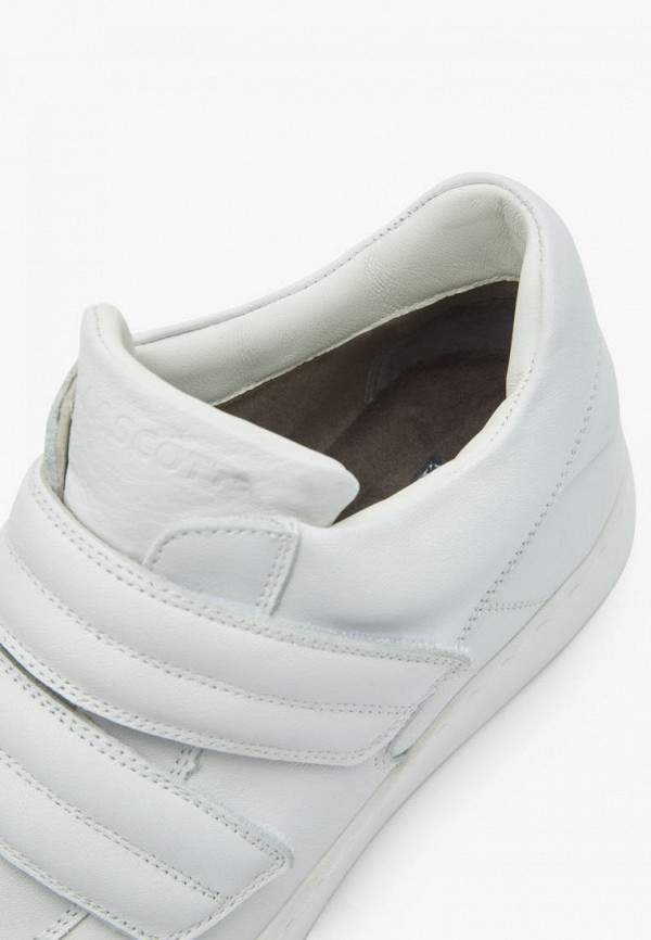 фото Кеды mascotte