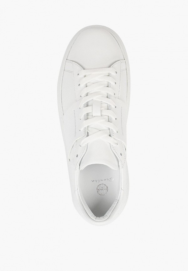 фото Кеды ekonika