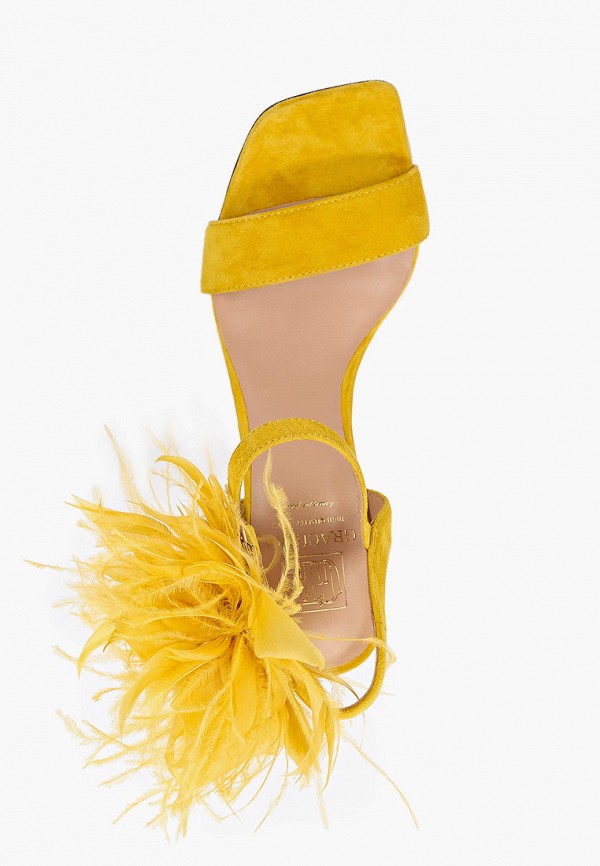 фото Босоножки graciana