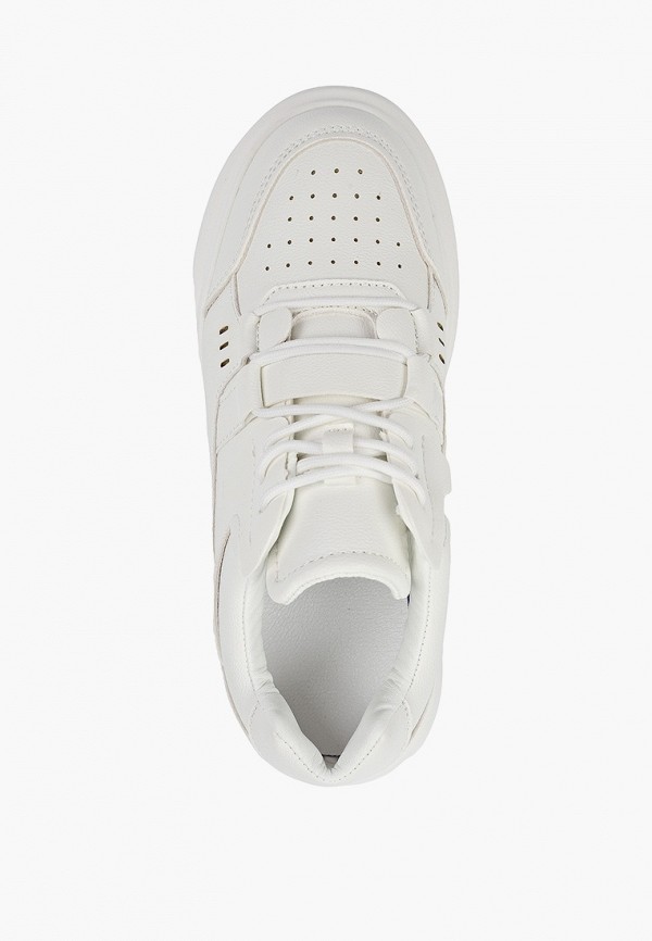 фото Кеды dino albat