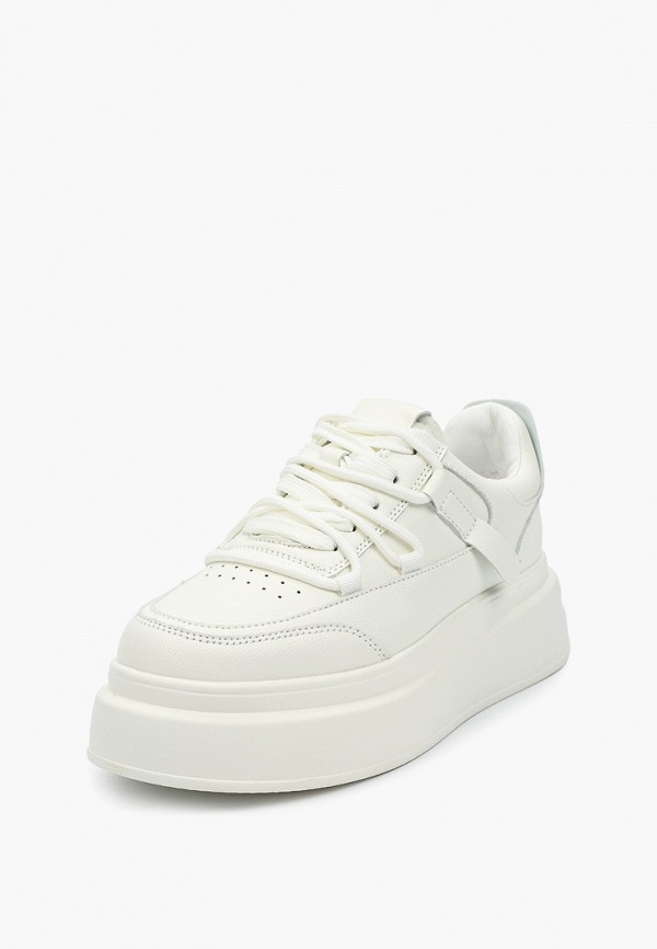 фото Кеды dino albat