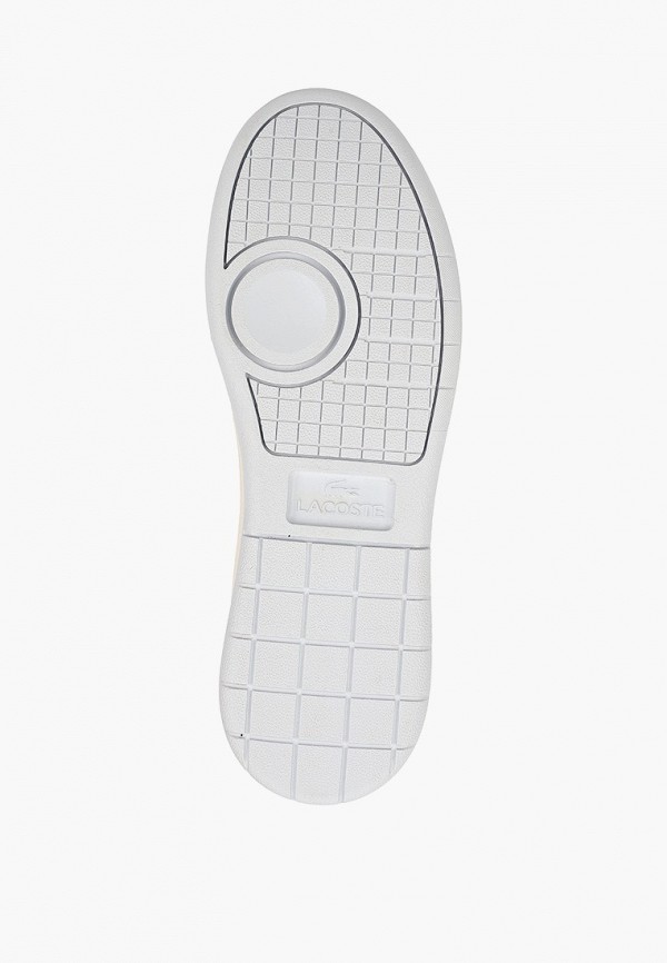 фото Кеды lacoste