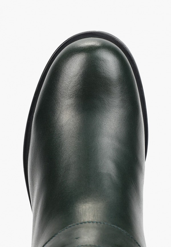 фото Сапоги enzo logana