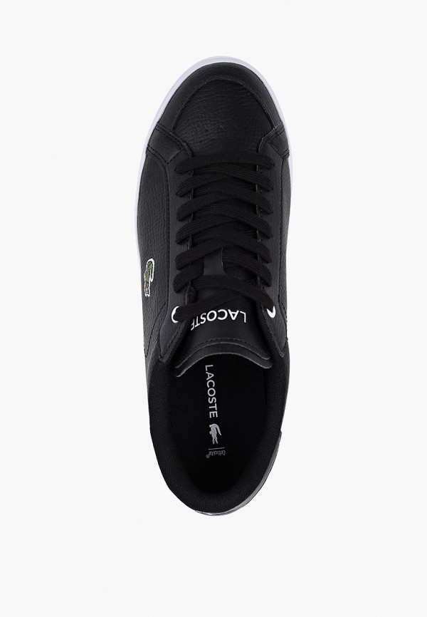 фото Кеды lacoste