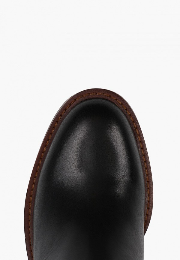 фото Сапоги vitacci