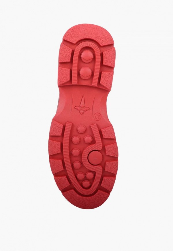 фото Ботинки t.taccardi