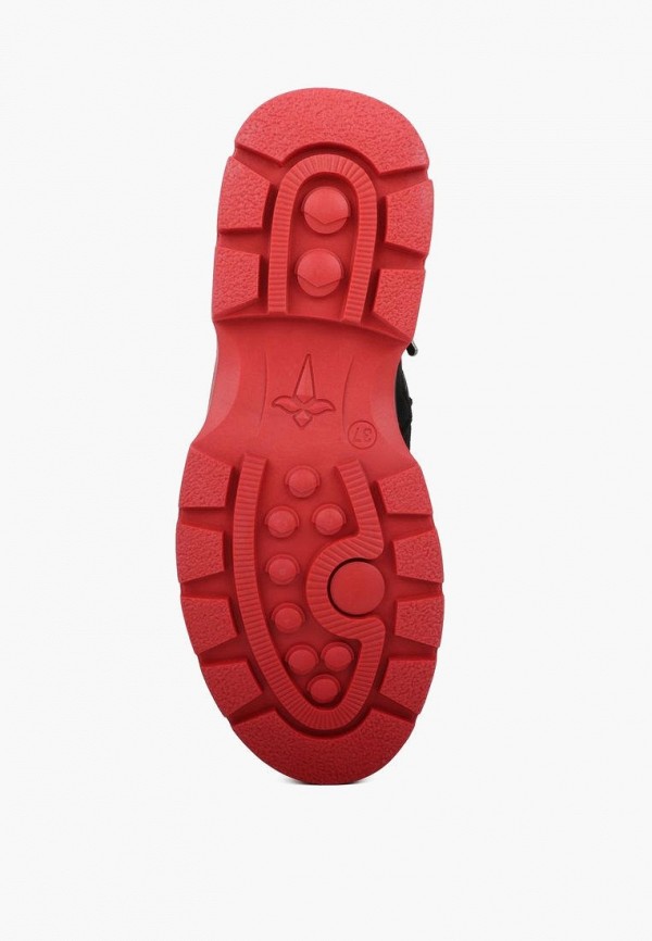 фото Ботинки t.taccardi