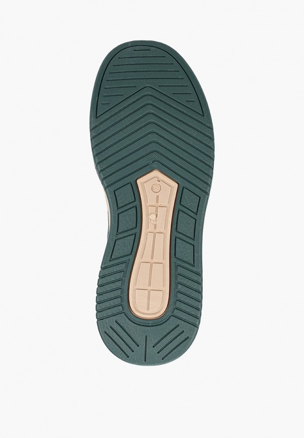 фото Кеды zumita