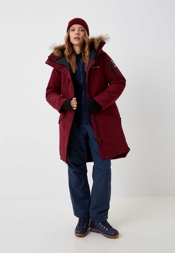 фото Парка red fox