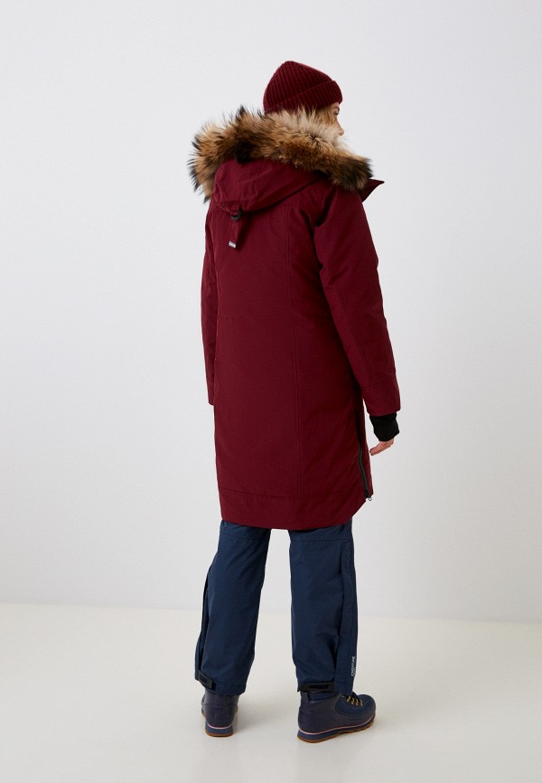 фото Парка red fox