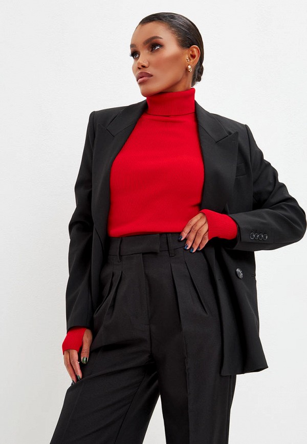 фото Водолазка diana delma