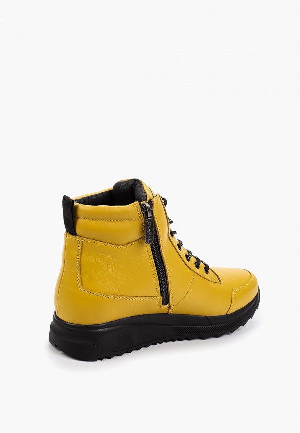 фото Ботинки shoiberg