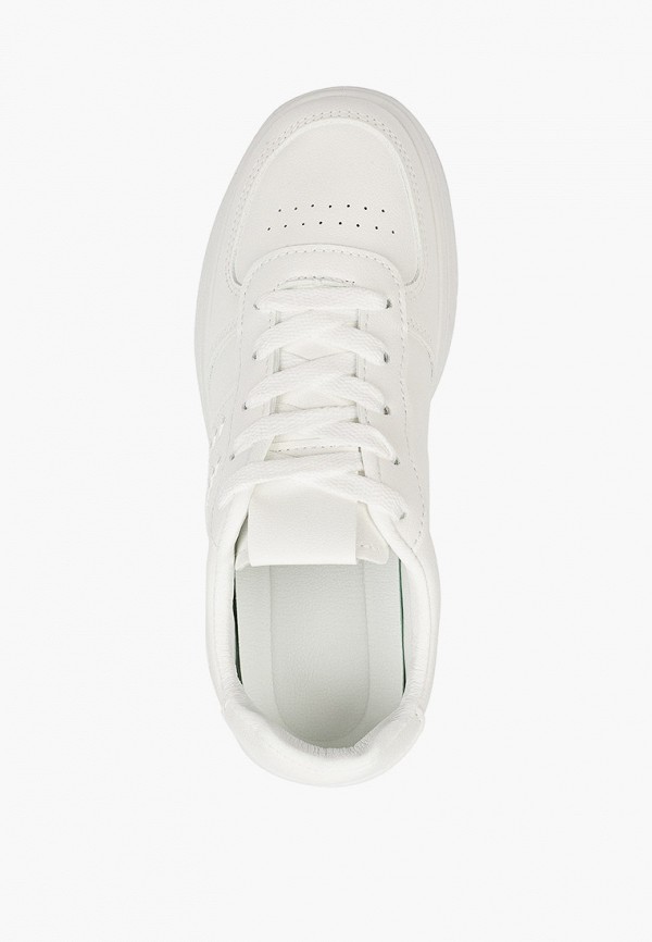 фото Кеды dino albat