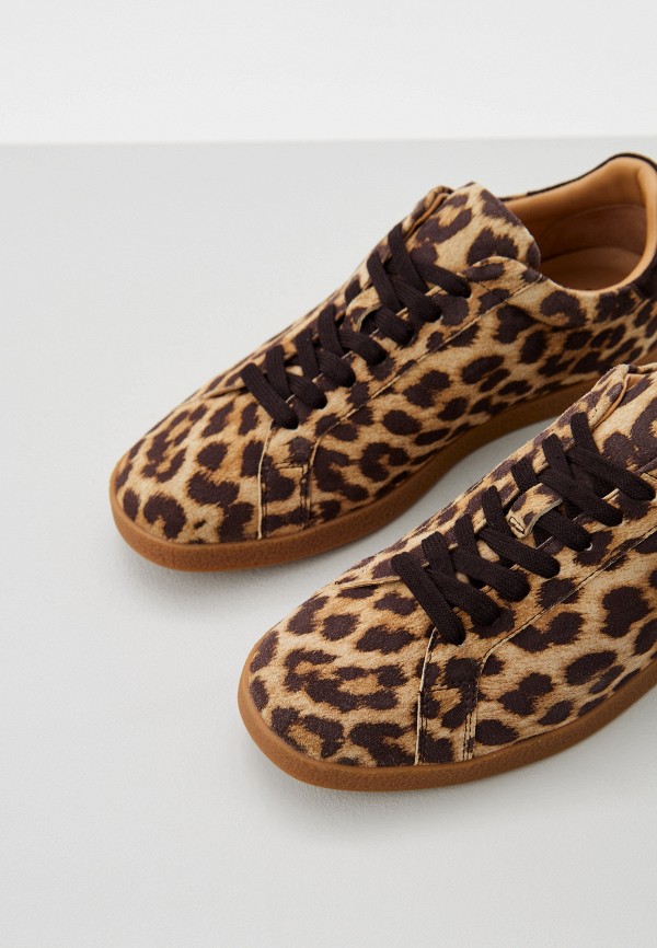 фото Кеды ekonika premium