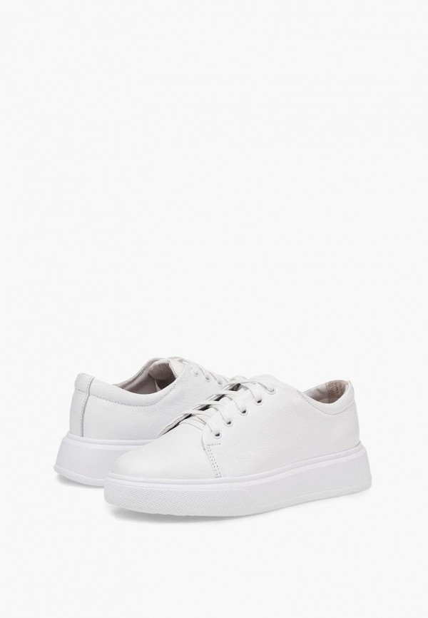 фото Кеды alessio nesca