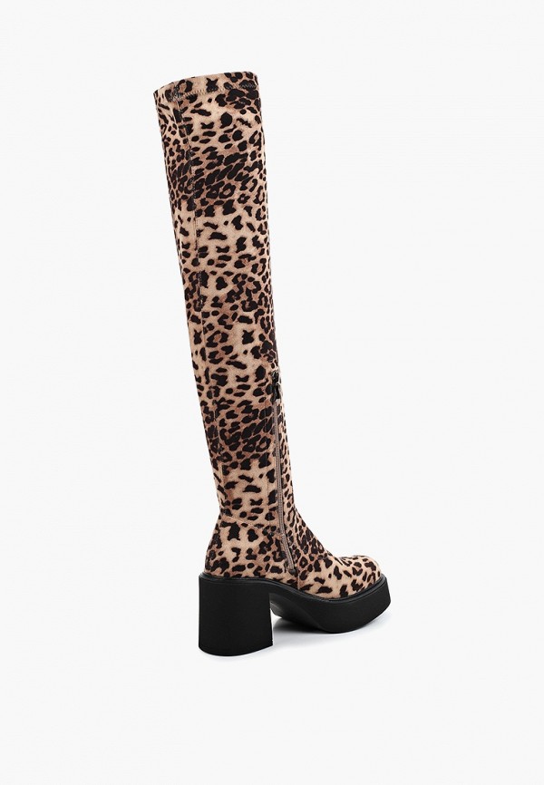 фото Ботфорты saivvila