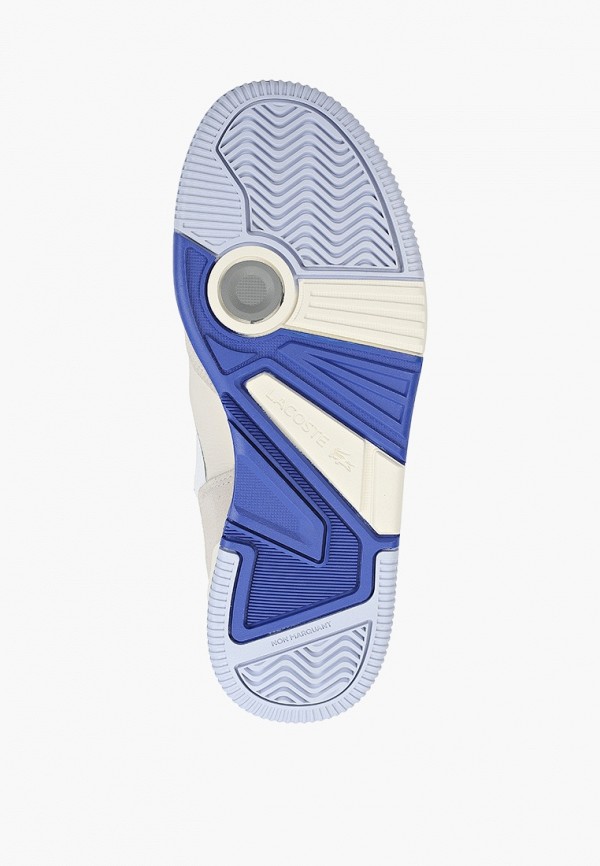 фото Кеды lacoste