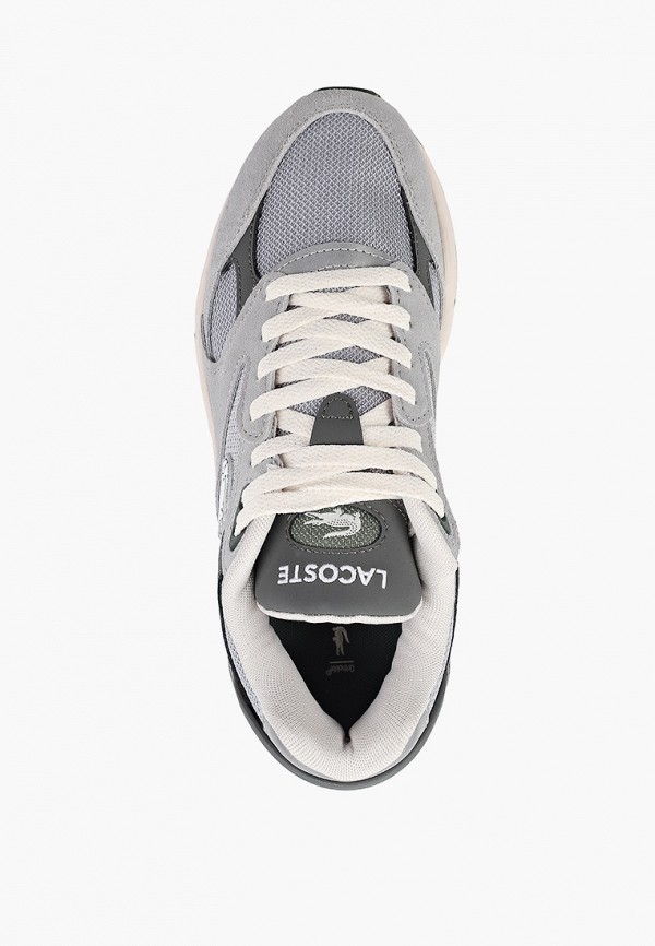 фото Кроссовки lacoste