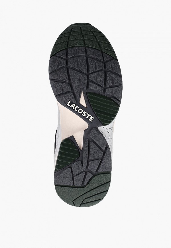 фото Кроссовки lacoste