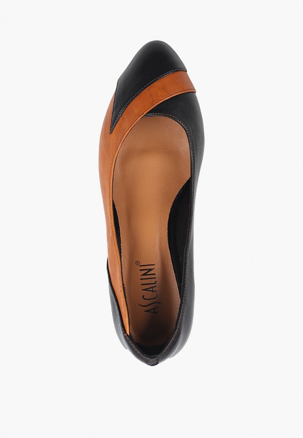 фото Туфли ascalini