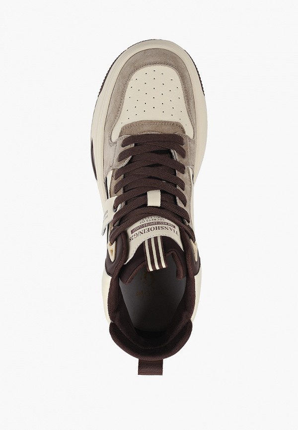 фото Кеды ascalini