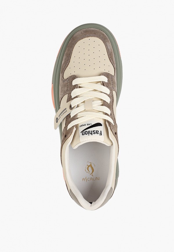 фото Кеды ascalini