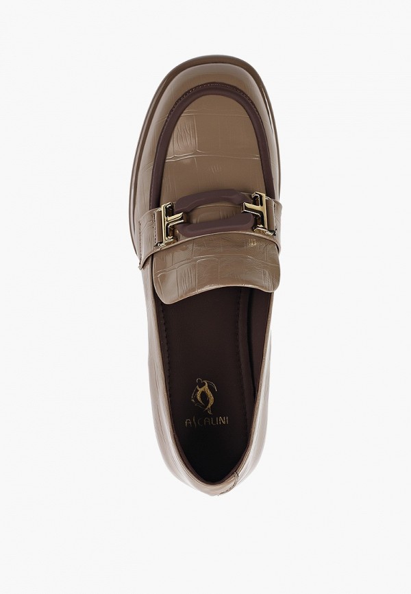 фото Туфли ascalini