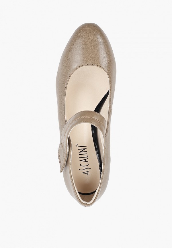 фото Туфли ascalini