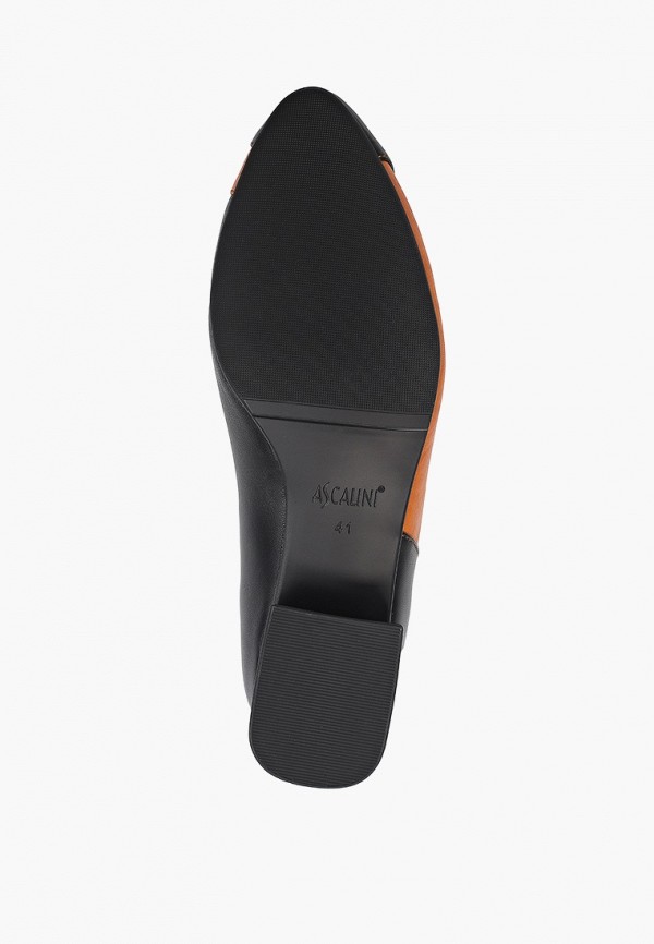 фото Туфли ascalini
