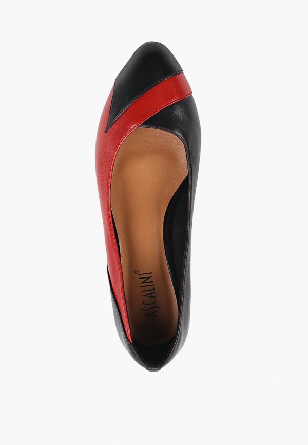 фото Туфли ascalini