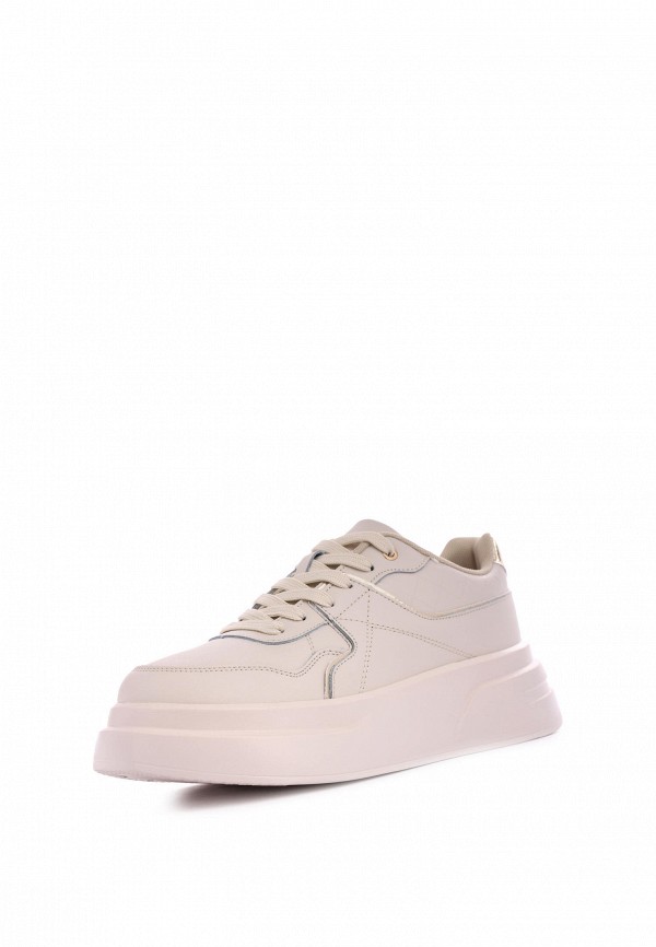 фото Кеды pulse