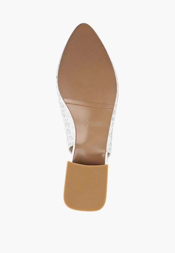 фото Туфли ascalini