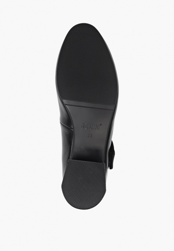 фото Туфли ascalini