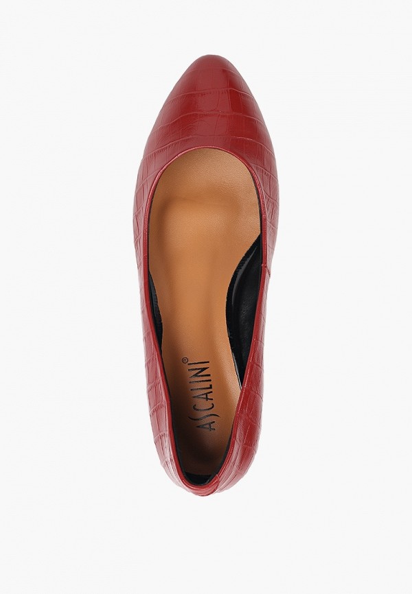 фото Туфли ascalini