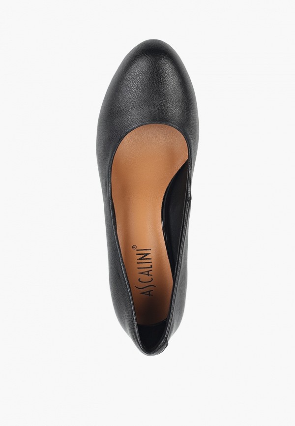 фото Туфли ascalini